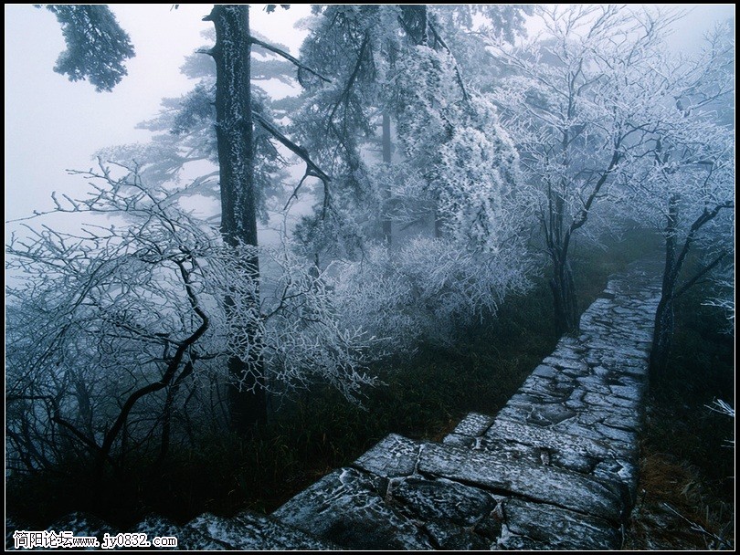004风景_nEO_IMG.jpg