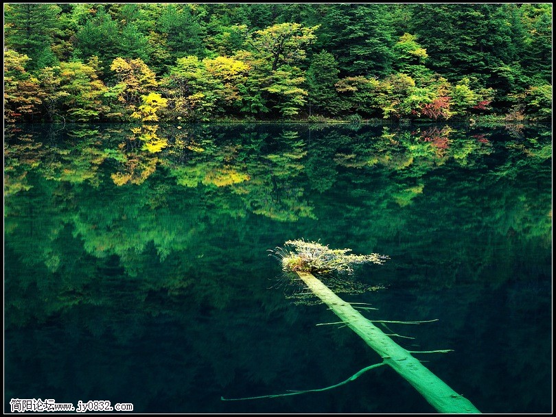 018风景_nEO_IMG.jpg