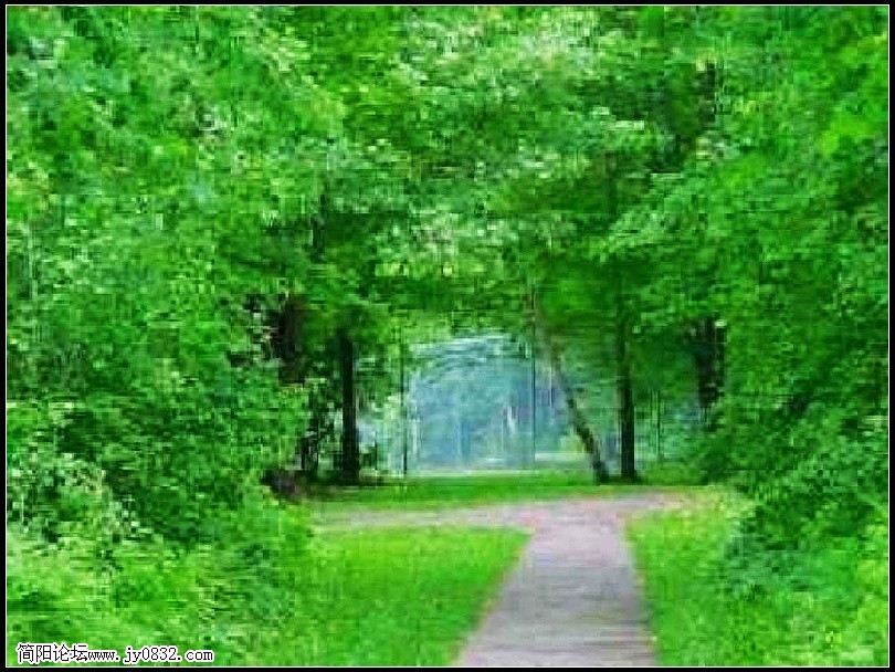 021风景_nEO_IMG.jpg