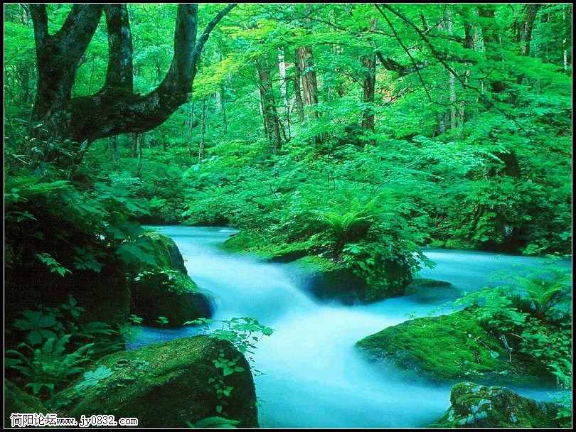 012风景_nEO_IMG.jpg