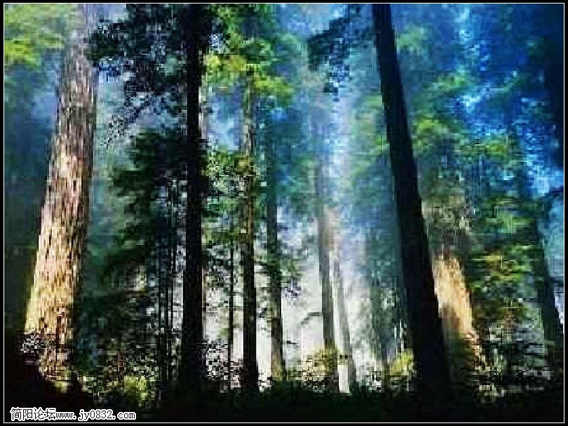 027风景_nEO_IMG.jpg