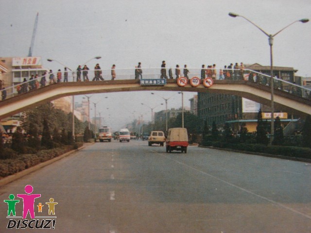 53_114977_01bb0e4af4dc3ea.jpg