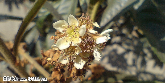 ABCD0004.jpg