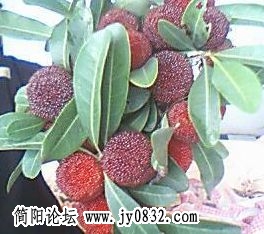 7E315A27FB76AC5BB4E52E193C7A50A7.jpg