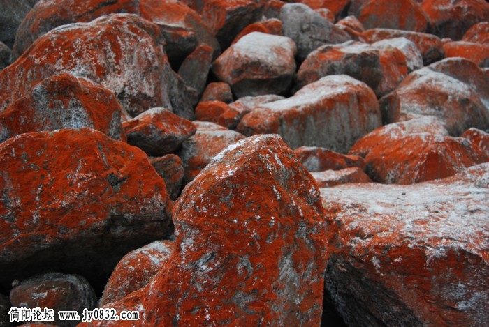 dsc_1573.jpg