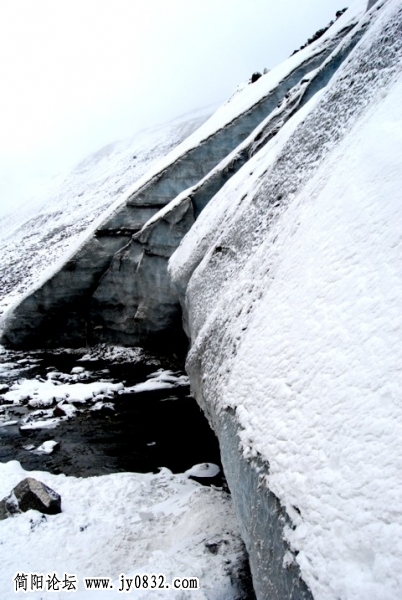 dsc_1702.jpg