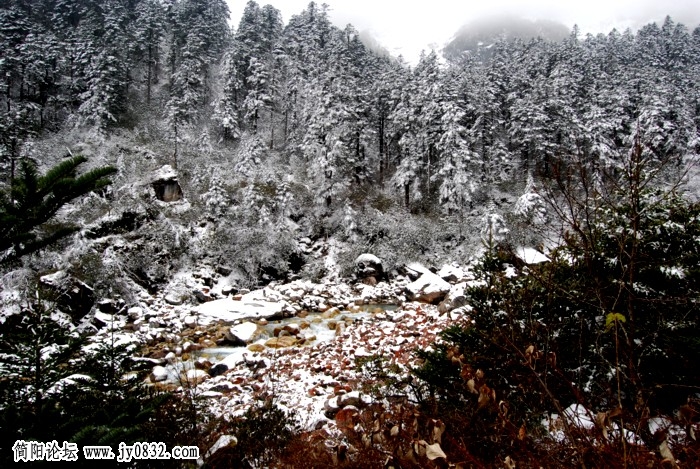 dsc_1631.jpg