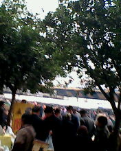 IMG0005A.jpg