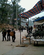 IMG0008A.jpg