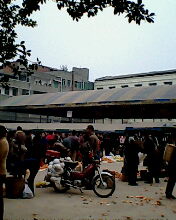 IMG0009A.jpg
