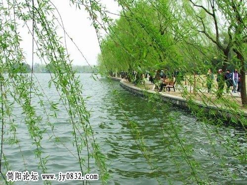 春天的瓜渚湖.jpg