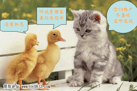 图13.gif