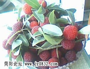 {0407C4B2-313D-49D6-8880-8DB02ABC71A7}.JPG
