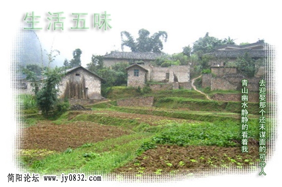 2007527045594277.jpg