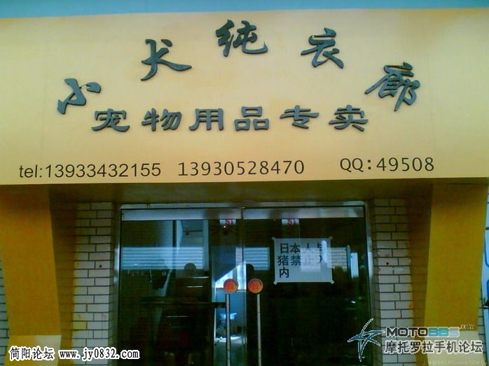 中国最牛X的宠物商店.jpg