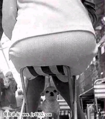 偷看4.jpg