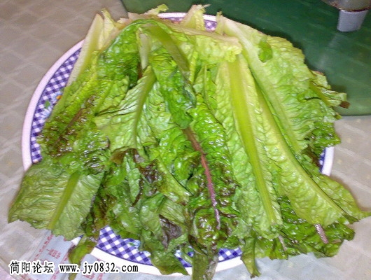 ABCD0016.jpg