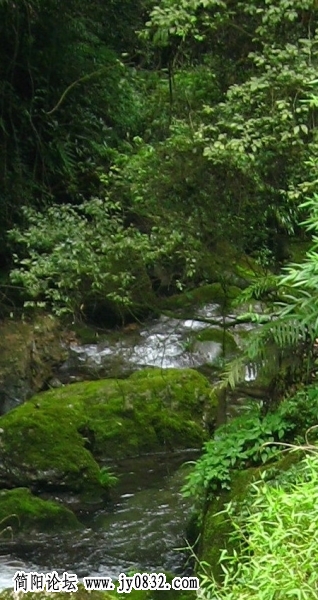 小溪2.jpg