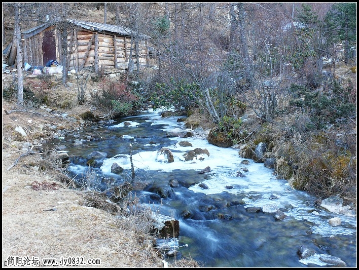 P1030466.jpg