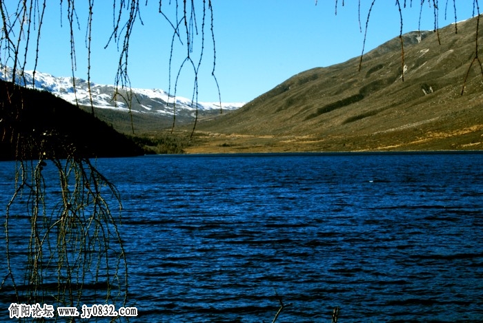 dsc_1856.jpg