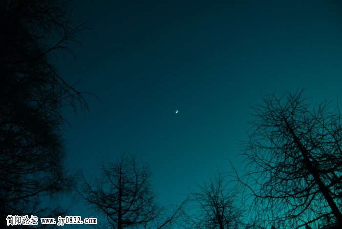 dsc_1945.jpg