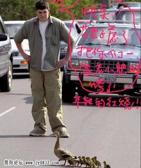26.jpg