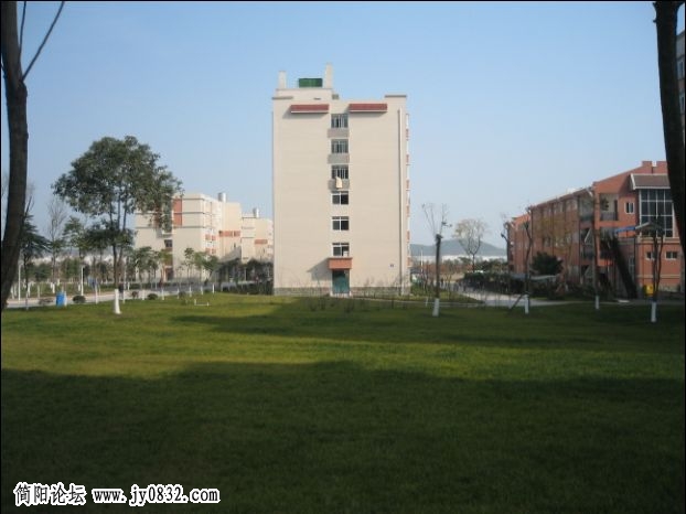 绿地.jpg