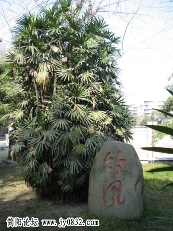 入口.jpg