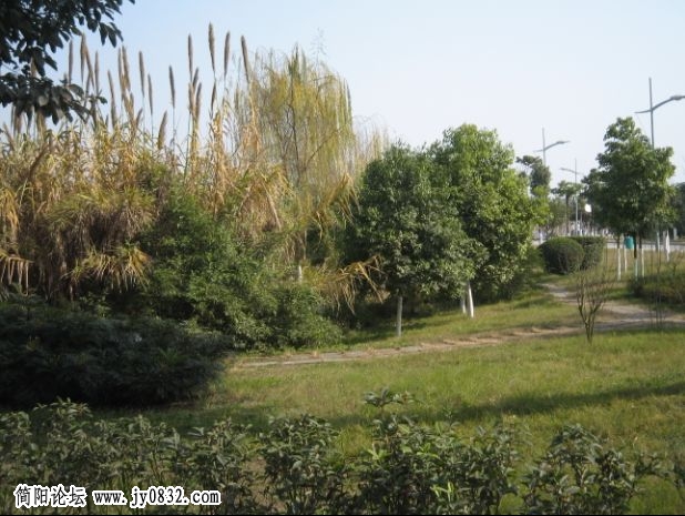 小路.jpg