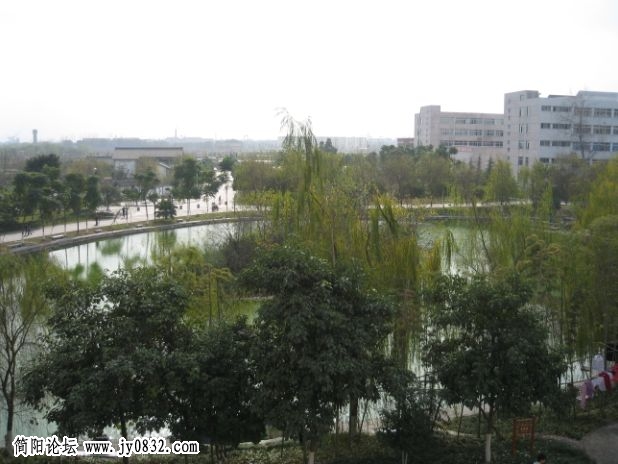 窗外的风景.jpg