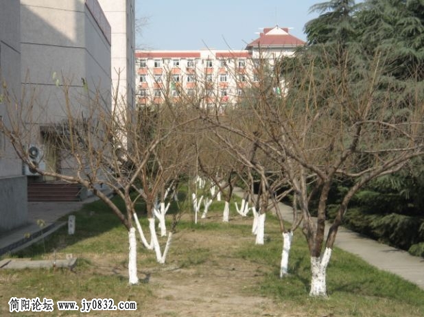 壮观.jpg