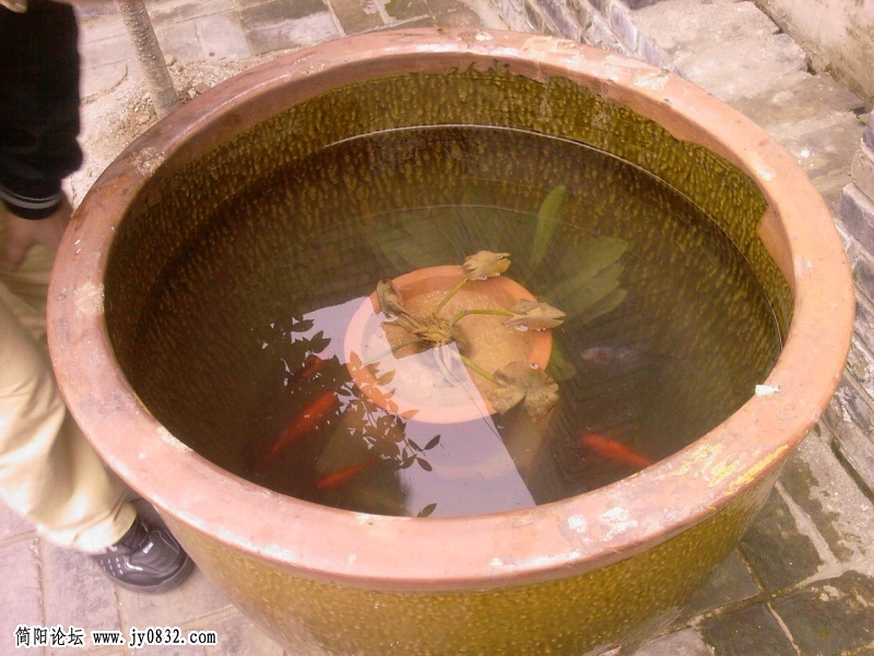 很喜欢这个意境.jpg