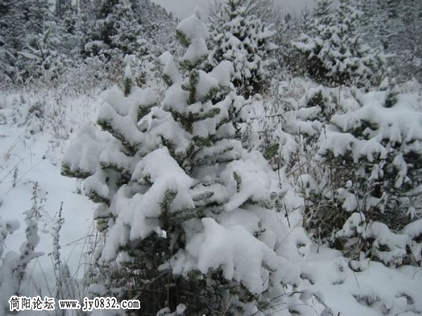 e雪景 074a.jpg