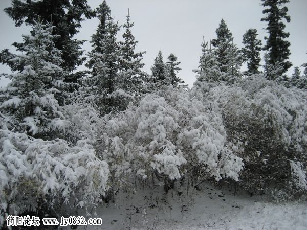 e雪景058.jpg