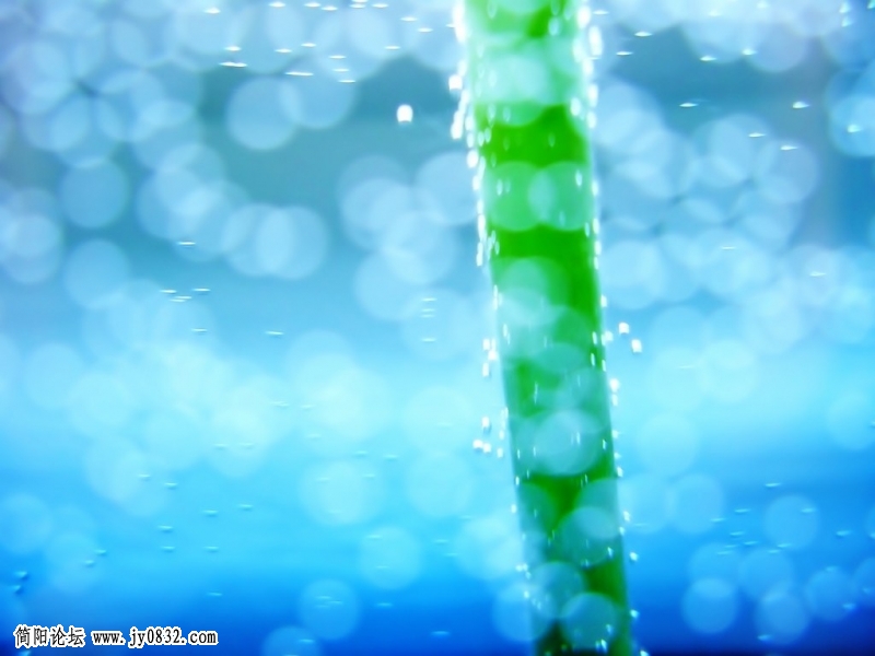 46_xPZtoGd07a4F.jpg