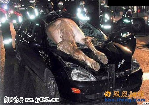 图4.jpg