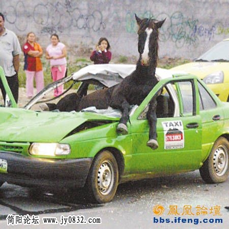 图3.jpg