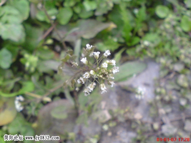 DSC03216.JPG