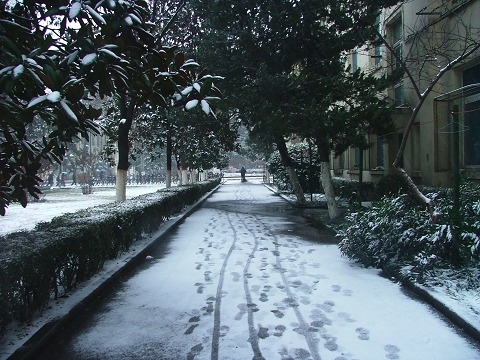 雪.JPG