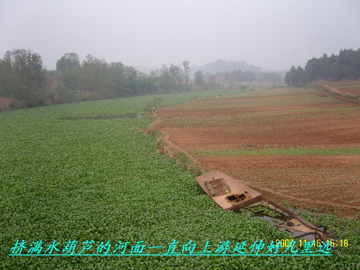 SNC14694.JPG