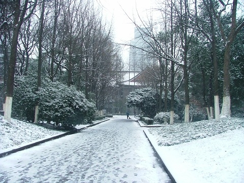雪3.JPG
