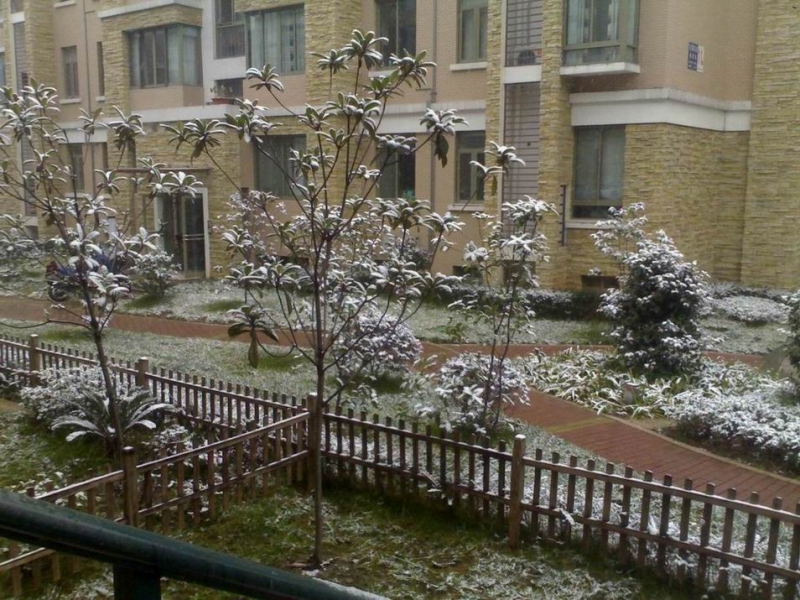 20080117242.jpg