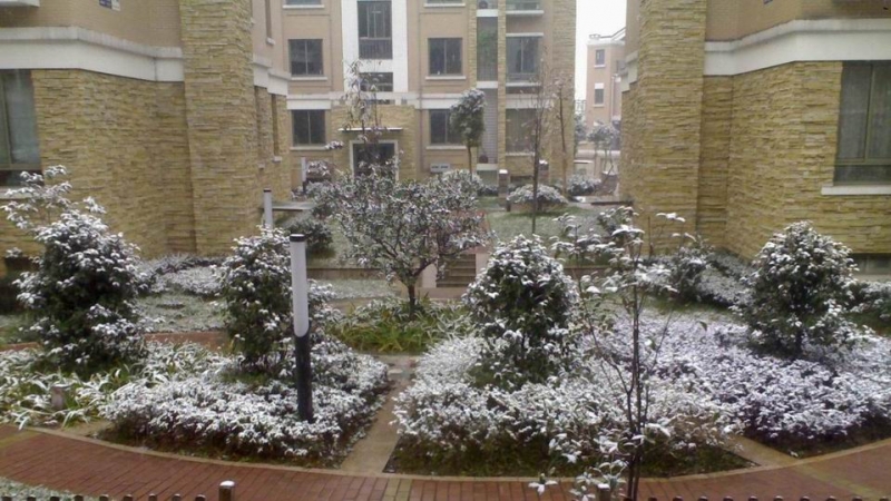 20080117241.jpg
