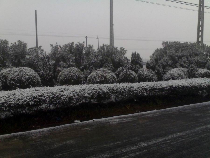 20080117237.jpg