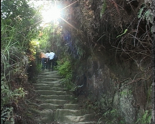 20070613_fc3e98ca307097ce3584kUmrRt8WOpRT.gif