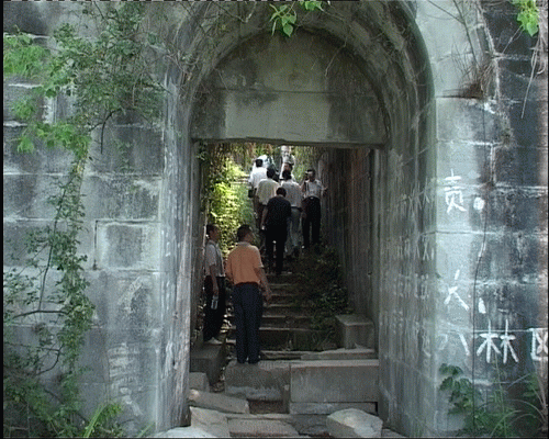 20070614_493d53b2dac46dc22387imhsPIbiZG8J.gif