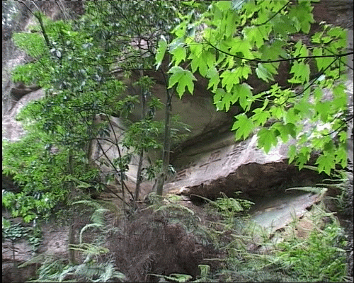 5.gif