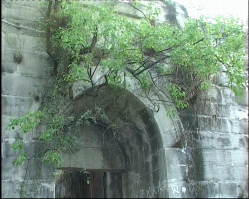 20070614_80d710fb8ed22354df31s7Ij5voF5Gks.gif
