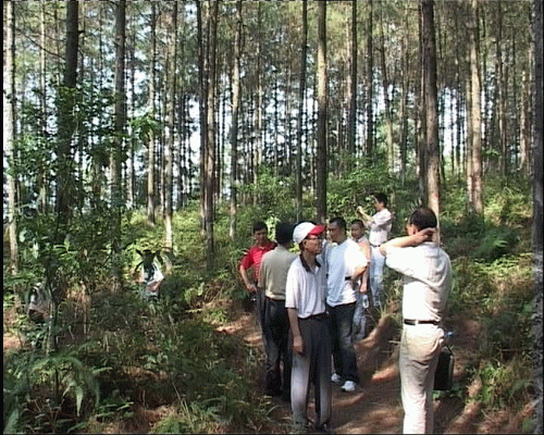 20070614_af2969084e77fc415318ldoUNBSFXqXD.gif