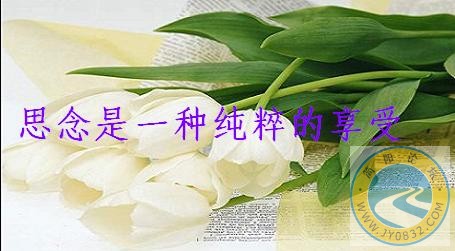 62e880b25e3b7d6806b35a8b011b0ee3_big[1].jpg